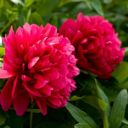 Gaestehaus Kasbichler Alojamento de Acomodação e Pequeno-almoço 3*