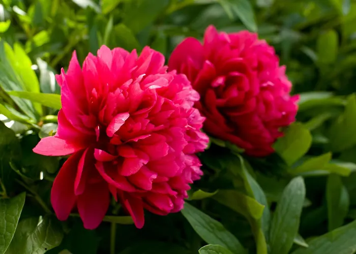 Gaestehaus Kasbichler فندق مبيت وإفطار 3*